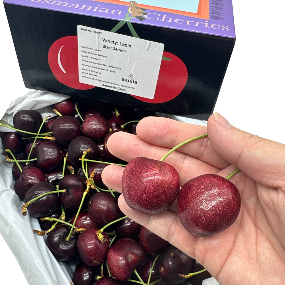 Tasmanian-Lapin-Cherries-34mm+-Gift-Box-2kg-1