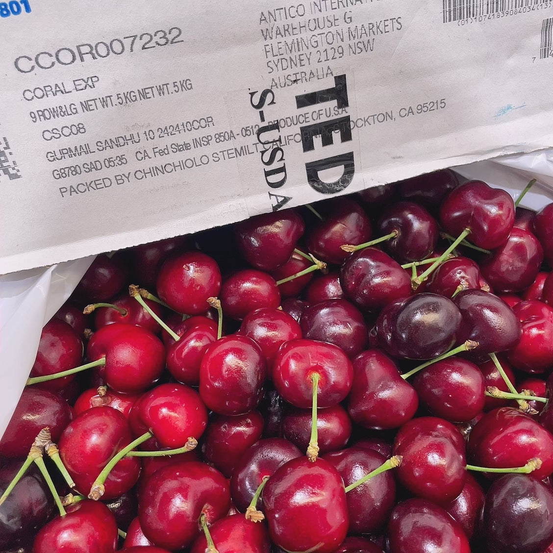 Stemilt-Beetle-Red-Cherries---500g-1