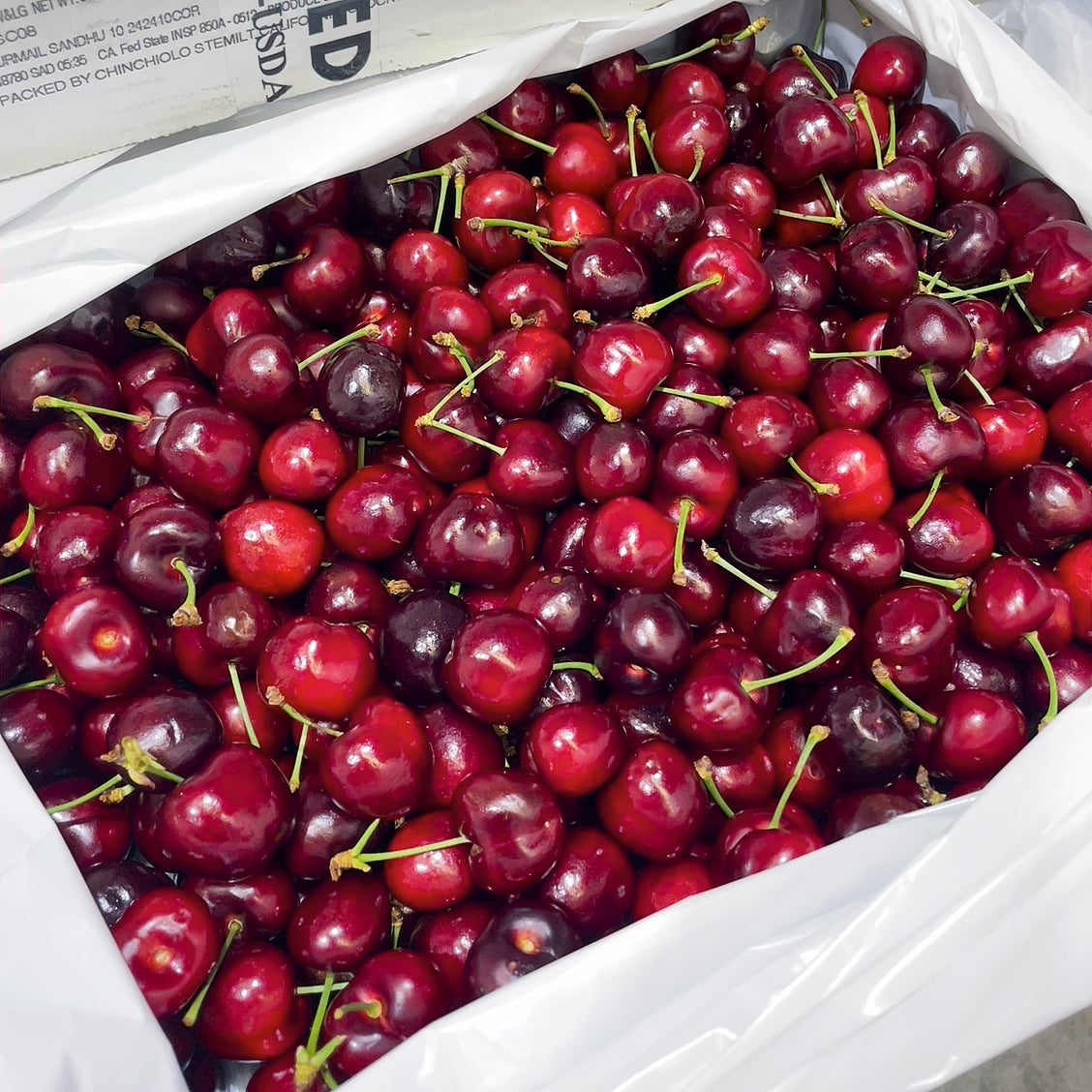 Stemilt-Beetle-Red-Cherries---500g-1