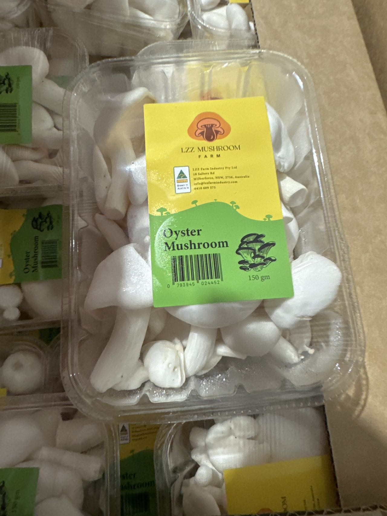 LZZ-Mushroom-Fresh-Oyster-Mushrooms---150g -1